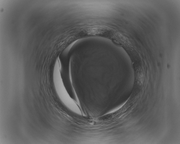 X0000062170219200601061049