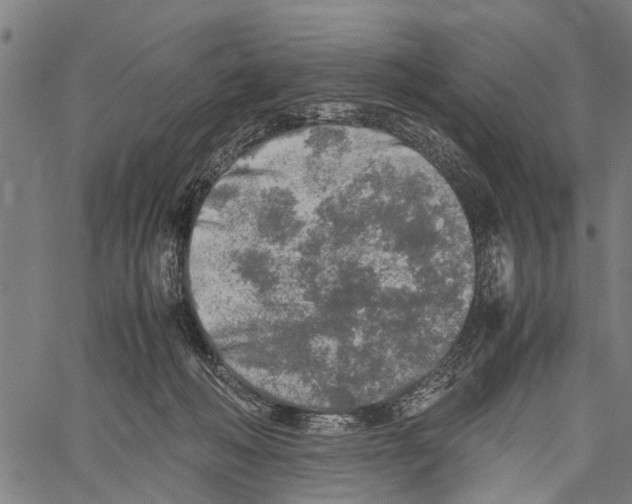 X0000062170222200601061049