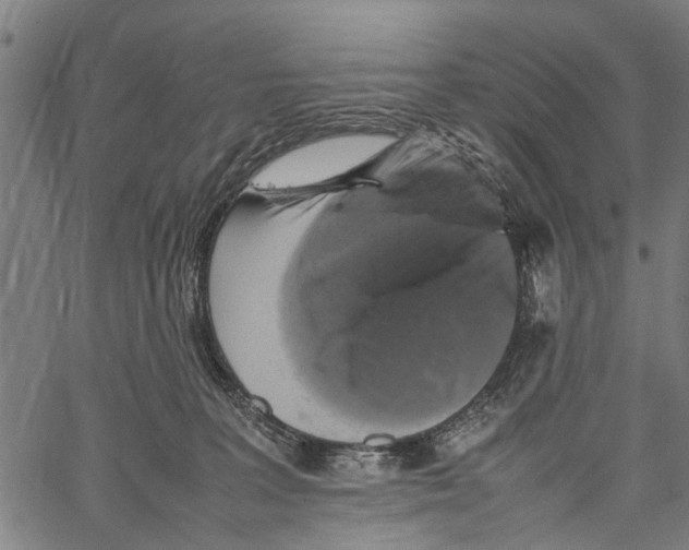 X0000062170227200601061049