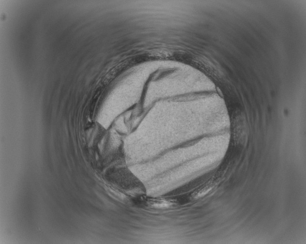 X0000062170229200601061049