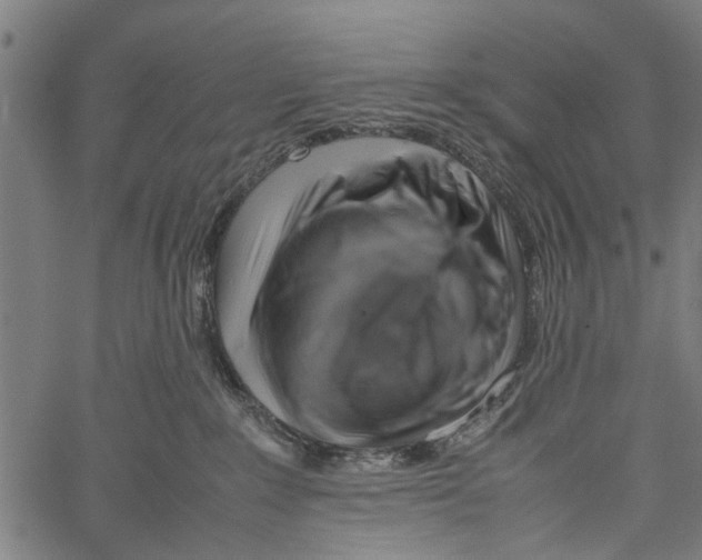 X0000062170235200601061049