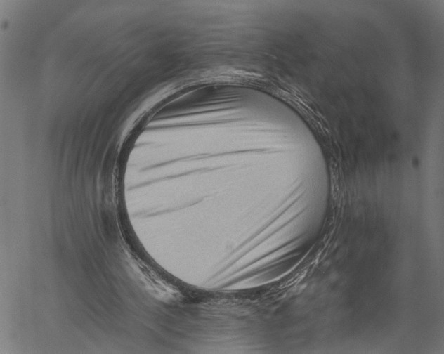 X0000062170244200601061048