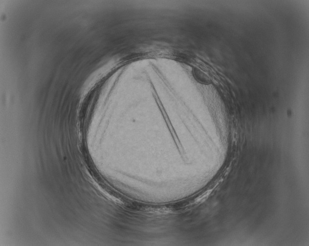 X0000062170245200601061048