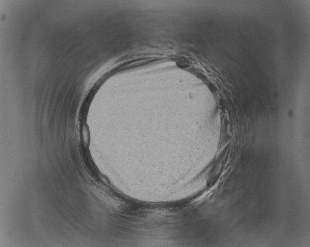 X0000062170246200601061048