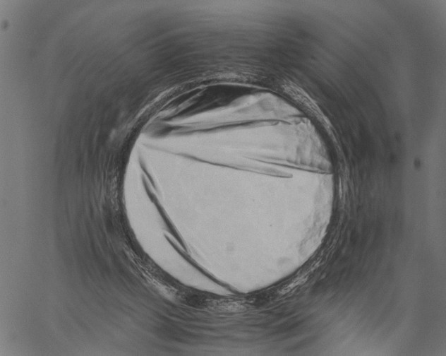 X0000062170249200601061048
