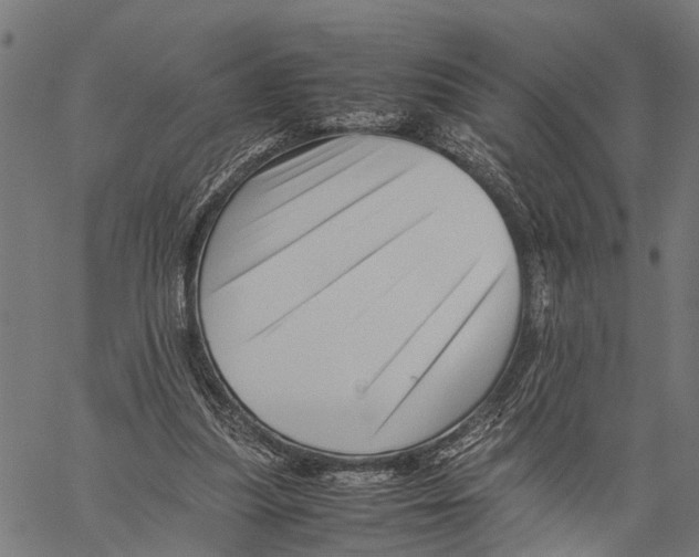 X0000062170251200601061048