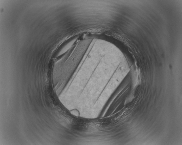 X0000062170252200601061048