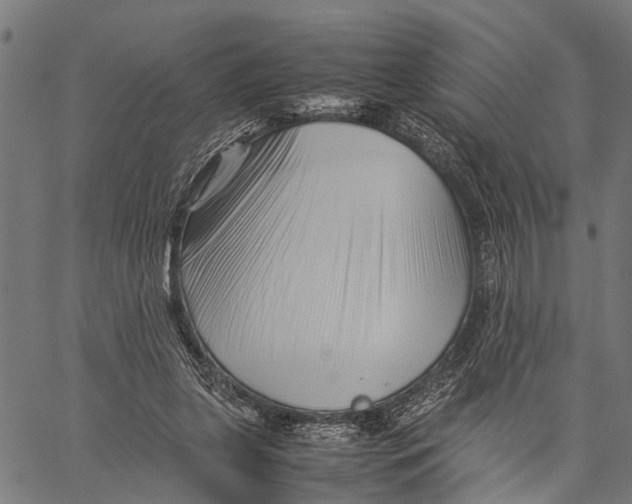 X0000062170255200601061048
