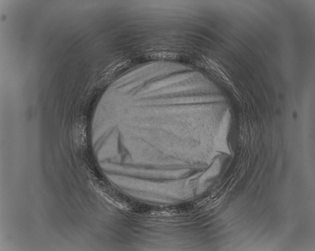 X0000062170259200601061048