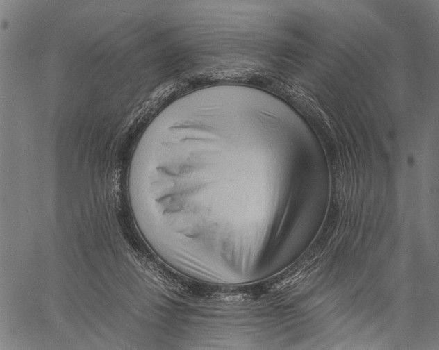 X0000062170260200601061048
