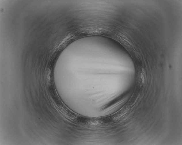 X0000062170264200601061048
