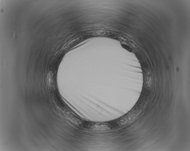 X0000062170270200601061048