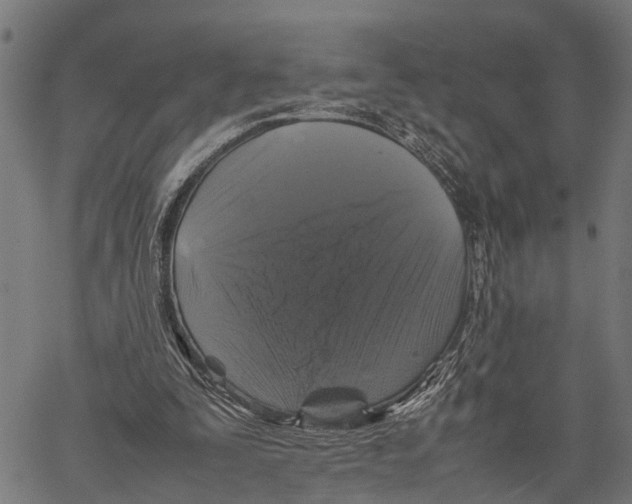 X0000062170295200601061048