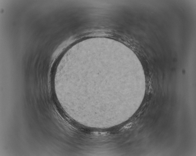 X0000062170296200601061048