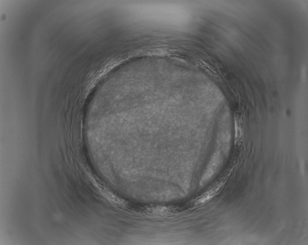 X0000062170301200601061048