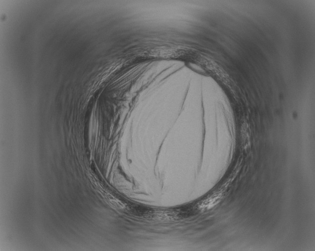 X0000062170305200601061048