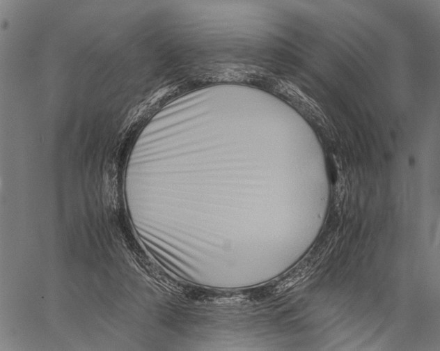 X0000062170306200601061047