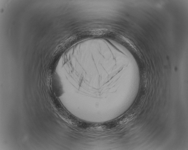 X0000062170307200601061047
