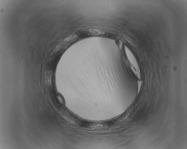 X0000062170315200601061047