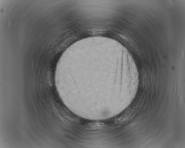 X0000062170316200601061047