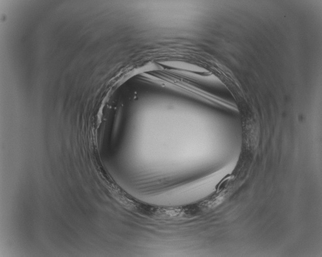 X0000062170329200601061047