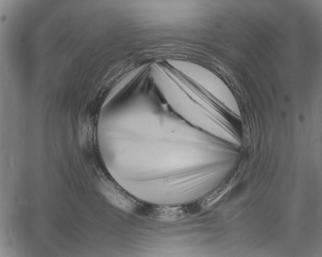 X0000062170333200601061047