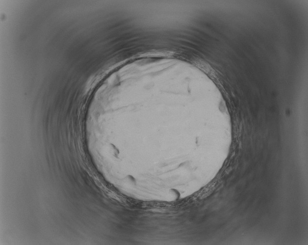 X0000062170337200601061046