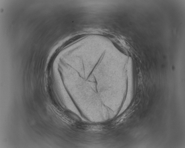 X0000062170342200601061046
