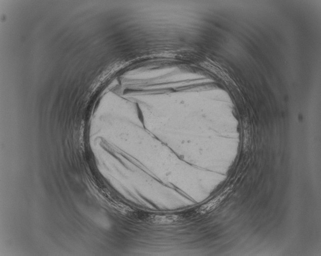 X0000062170346200601061046