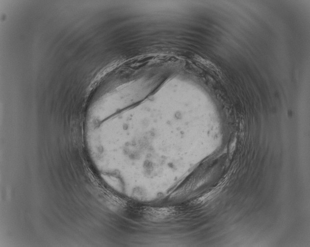 X0000062170349200601061046