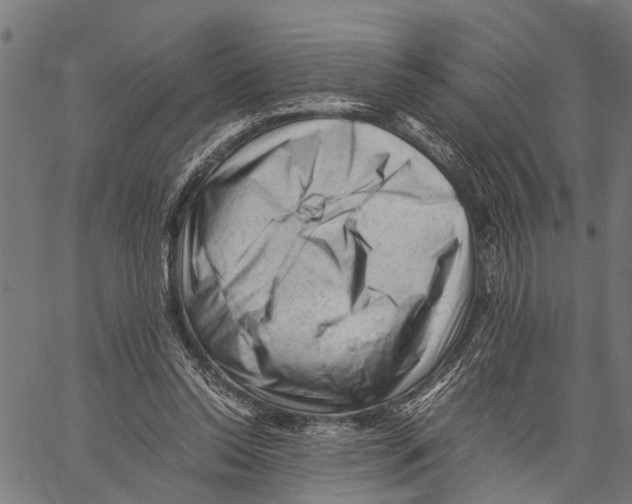 X0000062170350200601061046