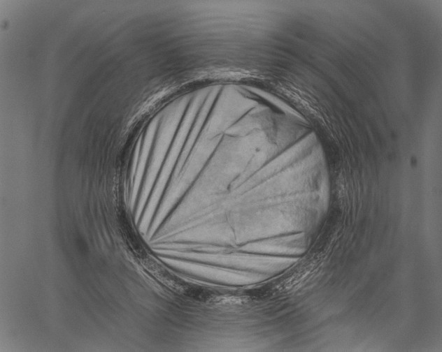 X0000062170352200601061046