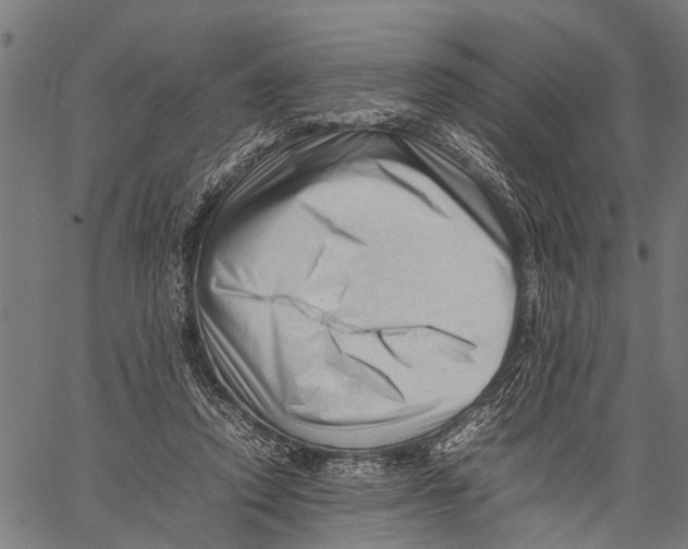X0000062170354200601061046