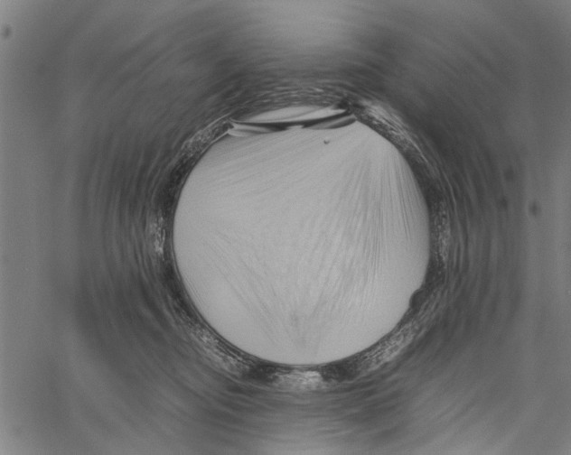 X0000062170374200601061047