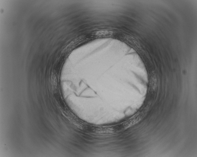 X0000062170375200601061047
