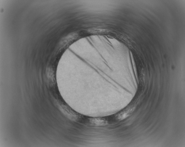 X0000062170380200601061047