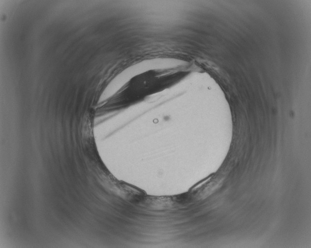 X0000062170384200601061047