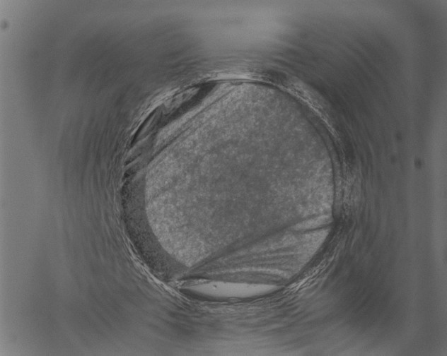 X0000062170385200601061046