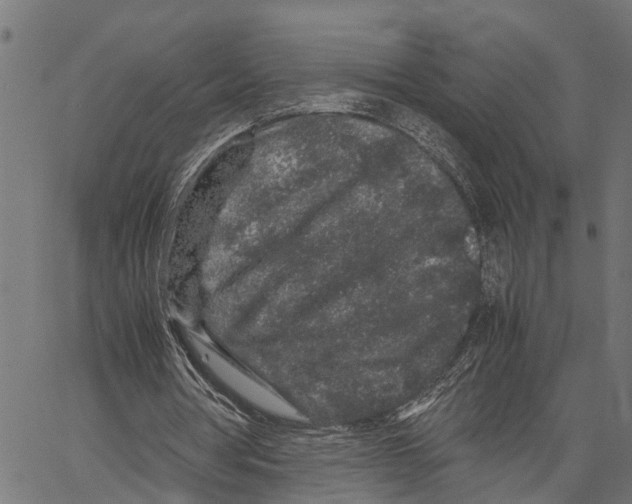 X0000062170386200601061046