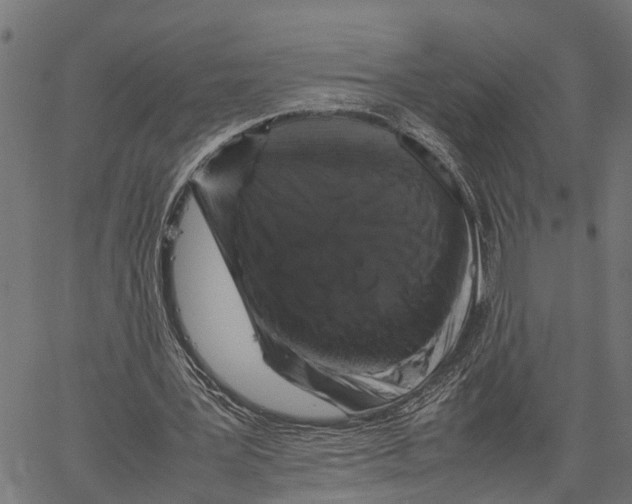 X0000062170387200601061046