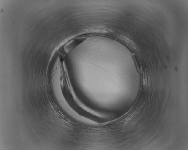 X0000062170388200601061046
