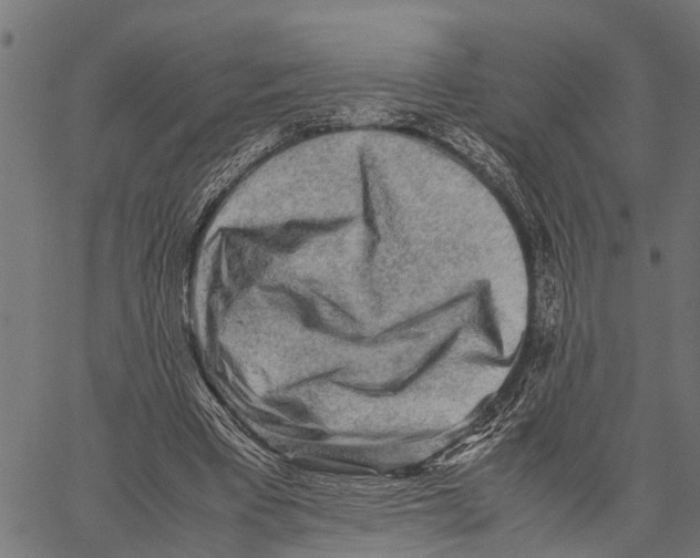 X0000062170393200601061046