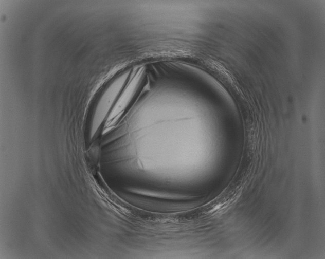 X0000062170395200601061046