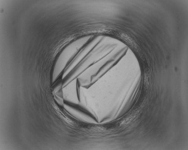 X0000062170397200601061046