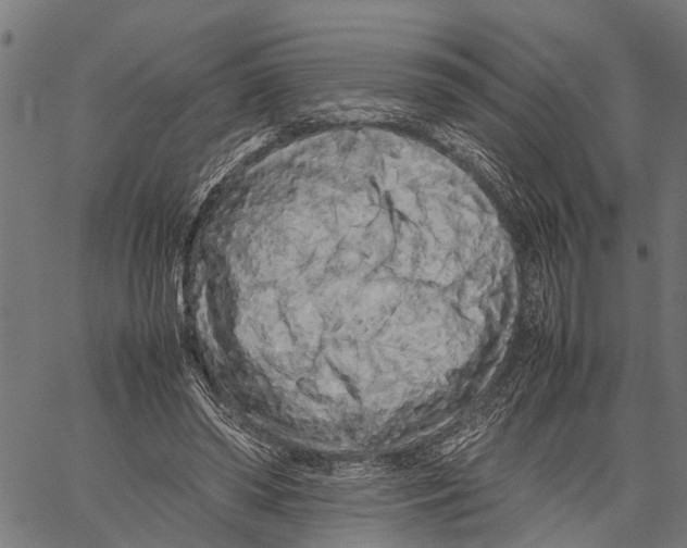 X0000062170398200601061046