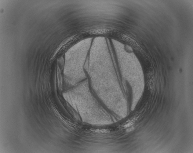 X0000062170400200601061046