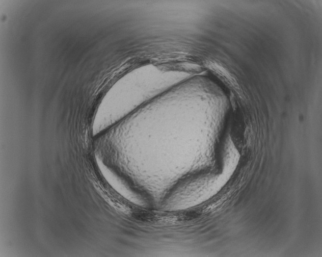 X0000062170405200601061046
