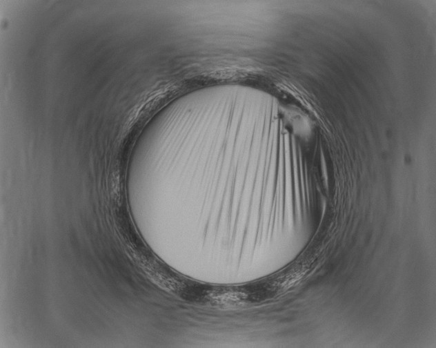 X0000062170407200601061046