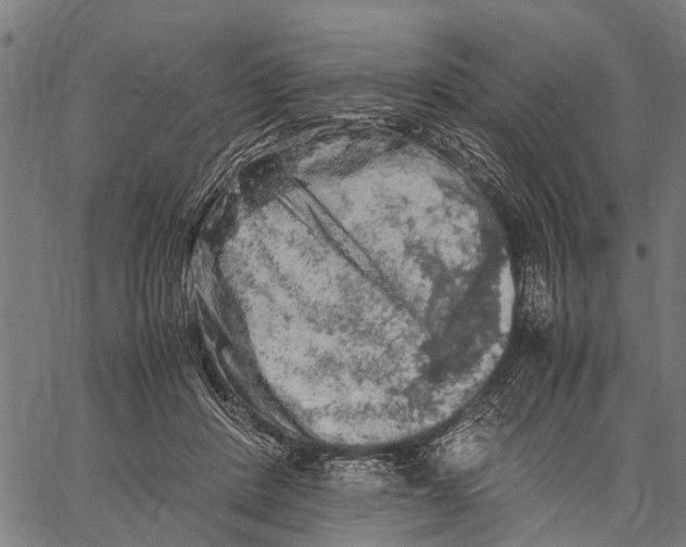 X0000062170408200601061046