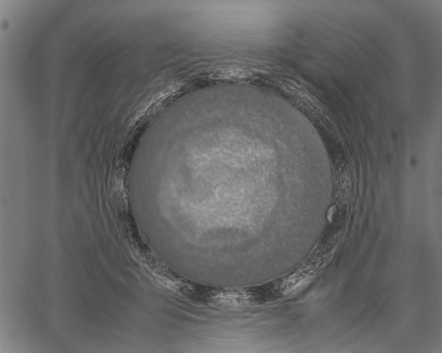 X0000062170415200601061046